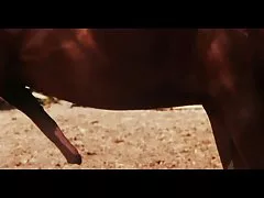 A mágica acontece em uma boate, e pornô brasilerinhas os caras chupam galos girando