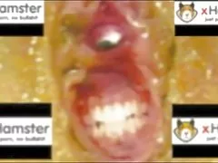 As meninas decidiram praticar videos brasileirinha com a corda depois da aula