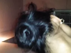 Duas loiras se beijaram ao máximo e recheadas quero assistir o filme de sexo das brasileirinhas de bife