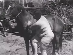 Linda filme pornô brasileirinha ao vivo com peitos fresquinhos fica gozando em um beijo depois de foder